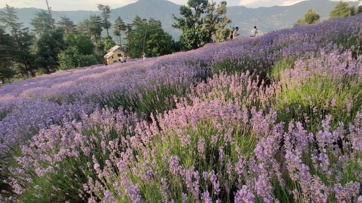 ما هي أهم أعراض الوصول لسن اليأس لدى المرأة؟ 9 ما هي أهم أعراض الوصول لسن اليأس لدى المرأة؟