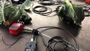 اليكم أغرب أوركسترا في العالم.. بآلات مصنوعة من الخضروات!