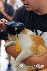 جامعة تقيم حفل تخرّج.. وبطلته ”قطّة“! (صور)