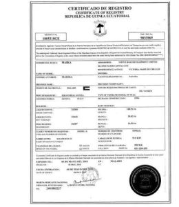 بالصور والوثائق.. مجلس الأمن يكشف عن "انتهاكات" كوريا الشمالية 4 بالصور والوثائق.. مجلس الأمن يكشف عن "انتهاكات" كوريا الشمالية