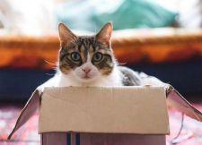 غاليري ”أخبار الآن“: صور مظاهرات الجزائر تتصدر ”الفيسبوك“