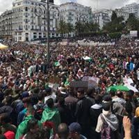 غاليري ”أخبار الآن“: صور مظاهرات الجزائر تتصدر ”الفيسبوك“