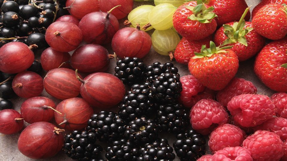 9 أنواع من الأغذية تدوم طويلاً في المعدة (صور)