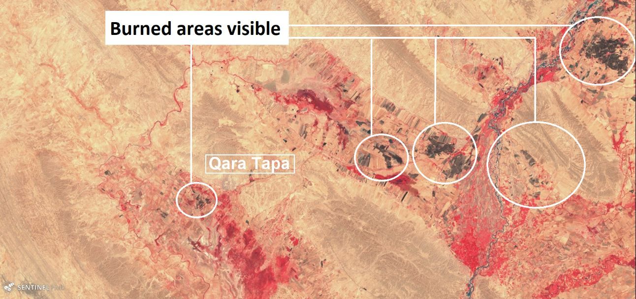 ”داعش“ فتك بزراعة العراق.. صورٌ تكشف حجم الحرائق التي استهدفت المحاصيل 2 ”داعش“ فتك بزراعة العراق.. صورٌ تكشف حجم الحرائق التي استهدفت المحاصيل