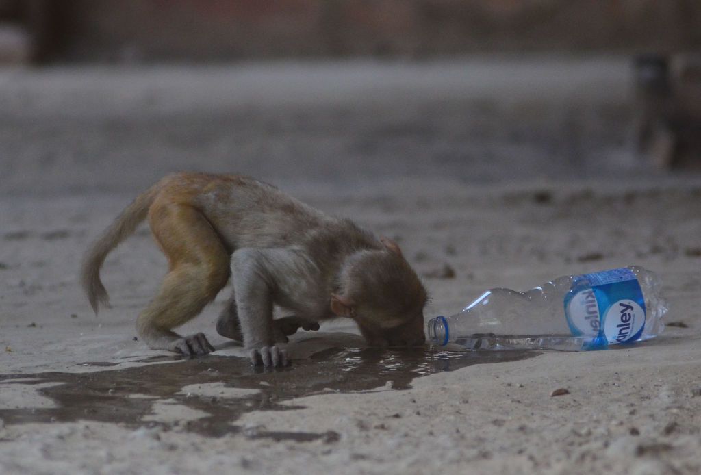 “موجة حر شديدة“ تضرب الهند وباكستان.. والسلطات تُحذر! (صور)