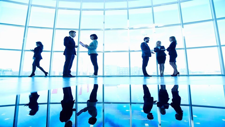 Several white collar workers communicating in office against window