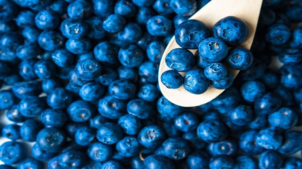Blueberries