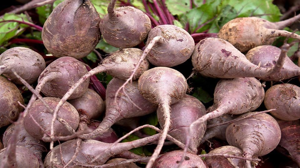 أفضل 7 أغذية لعام 2019.. وفقاً للأخصائيين (صور)