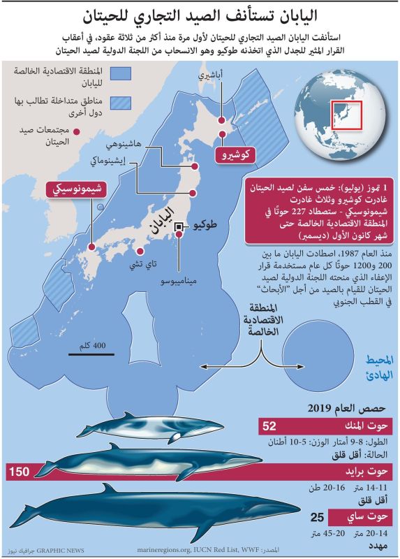 لأول مرة منذ 3 عقود.. اليابان تستأنف الصيد التجاري للحيتان (إنفوغراف +صور)
