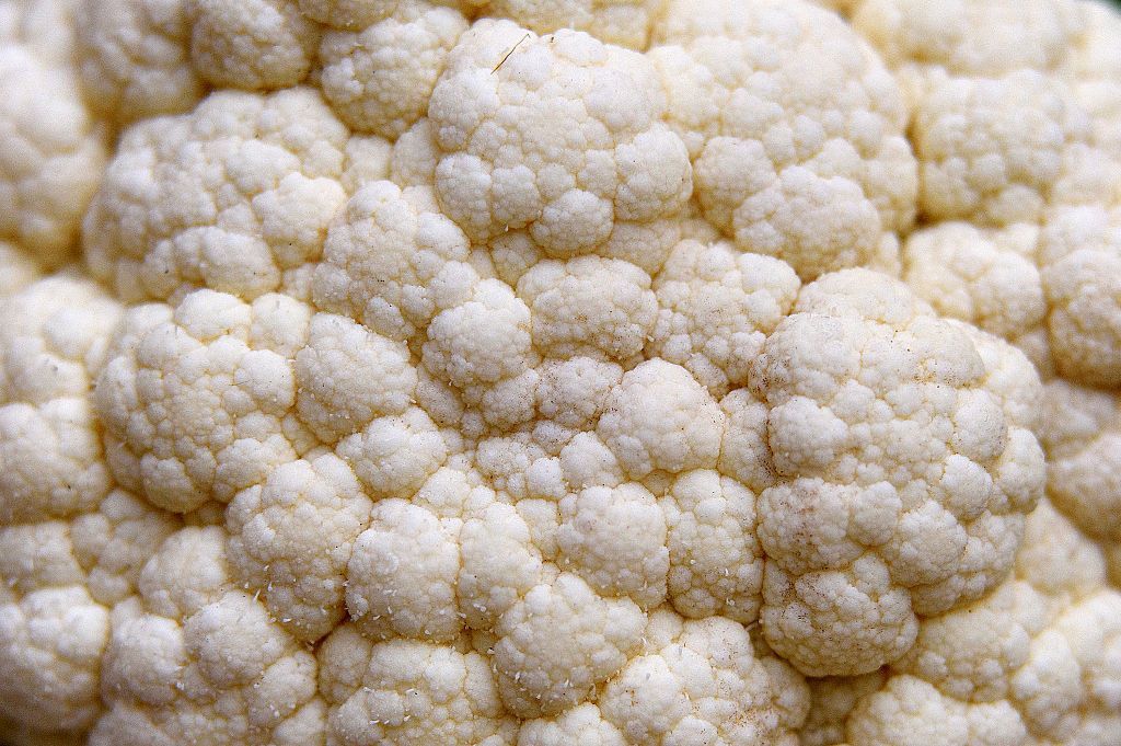 8 أطعمة غير متوقعة يمكن تحضيرها على الغريل.. الطعم لذيذ (صور) 5 LONDON, ENGLAND - OCTOBER 06: Cauliflower on display during the RHS (Royal Horticultural Society) London Harvest Festival Show at RHS Lindley Halls on October 6, 2015 in London, England. The traditional harvest themed show runs October 6-7 and showcases a wide range of late summer grown fruit and vegetables. (Photo by Ben Pruchnie/Getty Images)