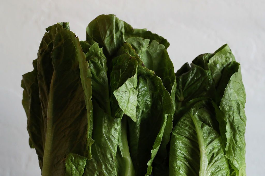 8 أطعمة غير متوقعة يمكن تحضيرها على الغريل.. الطعم لذيذ (صور) 2 SAN ANSELMO, CA - MAY 02: In this photo illustration, Romaine lettuce is displayed on May 2, 2018 in San Anselmo, California. One person in California has died from E. coli linked to romaine lettuce. The Centers for Disease Control and Prevention has confirmed a total to 121 cases in 25 states. (Photo by Justin Sullivan/Getty Images)