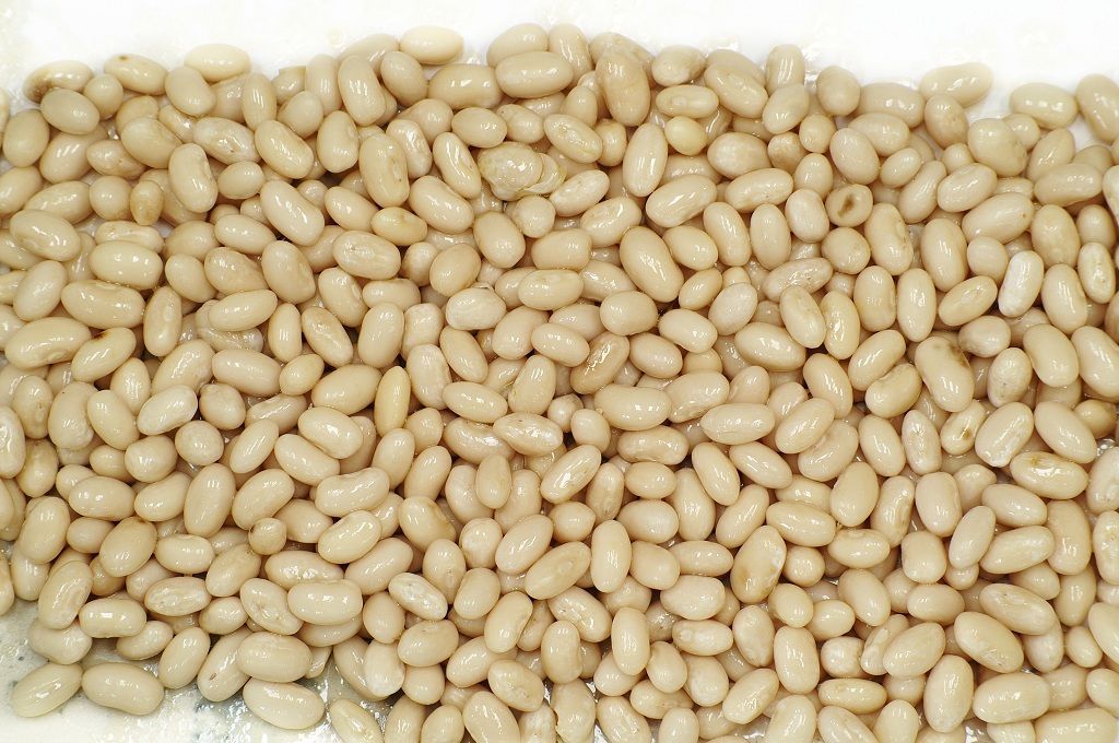 5 أطعمة يمكن تناولها أثناء السعي لخسارة الوزن (صور) 3 5 أطعمة يمكن تناولها أثناء السعي لخسارة الوزن (صور)