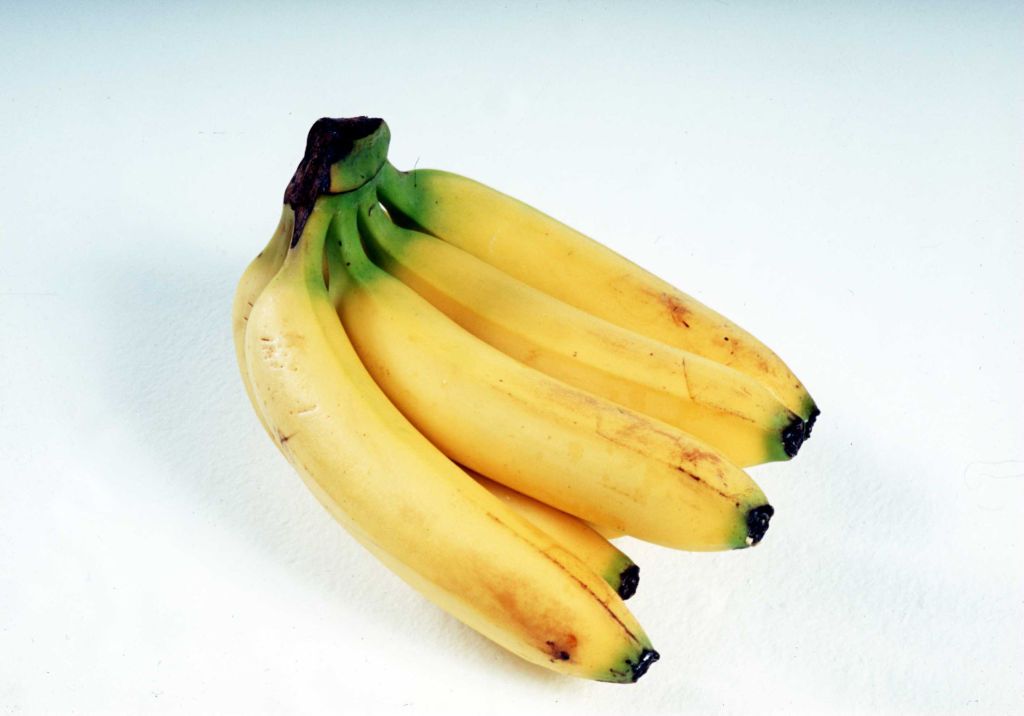 Undated:  A bunch of ripe yellow Bananas. (Photo by Richard Whiting /Getty Images)
