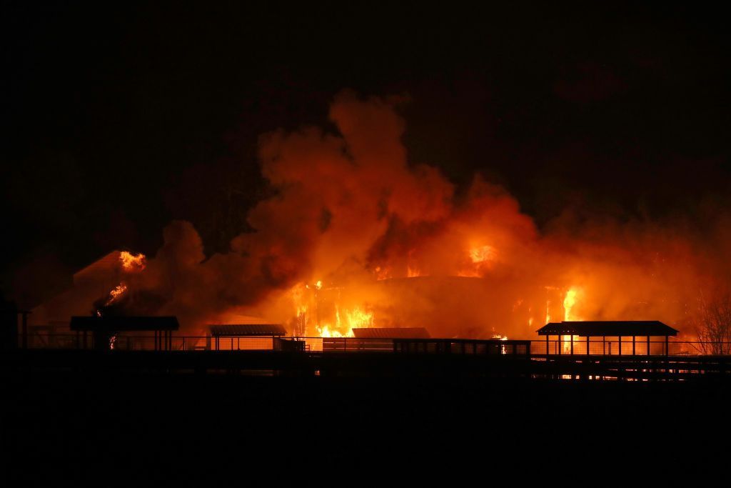 حاكم كاليفورنيا يعلن حال الطوارئ لمواجهة حرائق الغابات (صور)