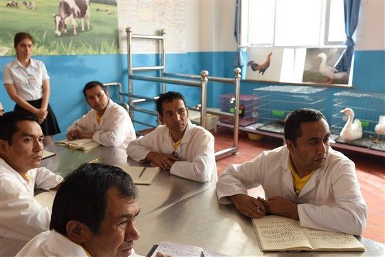 معسكرات اعتقال الإيغور من الداخل... هذا ما تحاول الصين اظهاره للعالم