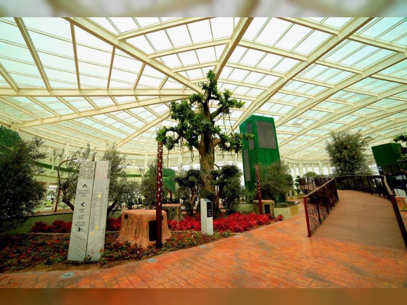 في 8 أشهر.. الحديقة القرآنية في دبي تجذب مليون زائر (صورة) 1 في 8 أشهر.. الحديقة القرآنية في دبي تجذب مليون زائر (صورة)