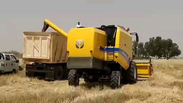 بابل تعلن اكتفاءها الذاتي من محصول الحنطة لعام 2020