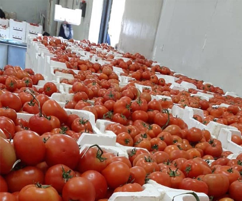 تهريب الخضار السورية إلى لبنان يرفع أسعارها بحوالي 45% 2 تهريب الخضار السورية إلى لبنان يرفع أسعارها بحوالي 45%