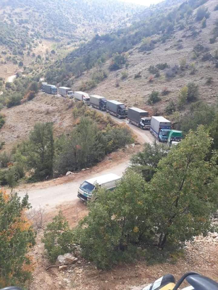 تهريب الخضار السورية إلى لبنان يرفع أسعارها بحوالي 45% 5 تهريب الخضار السورية إلى لبنان يرفع أسعارها بحوالي 45%