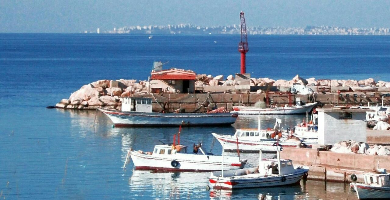 متنفذون في حكومة النظام السوري يسطون على الثروة السمكية في ساحل سوريا