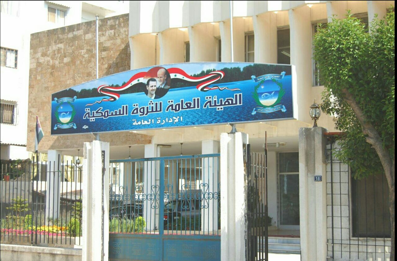 متنفذون في حكومة النظام السوري يسطون على الثروة السمكية في ساحل سوريا