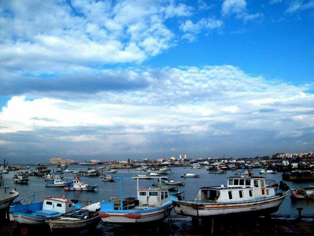 متنفذون في حكومة النظام السوري يسطون على الثروة السمكية في ساحل سوريا