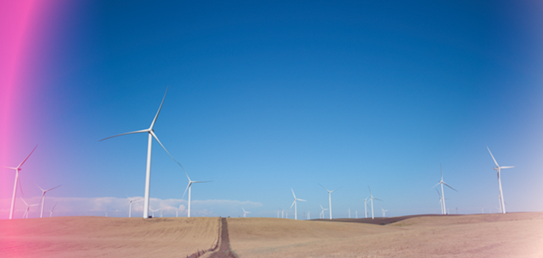 ”مايكروسوفت“ تفتتح مركزاً لتعزيز الابتكار بقطاع الطاقة في الإمارات