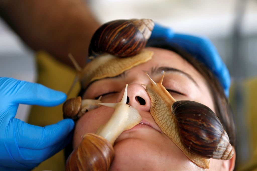 ما علاقة الحلزون بنضارة البشرة في الأردن؟ 2 ما علاقة الحلزون بنضارة البشرة في الأردن؟