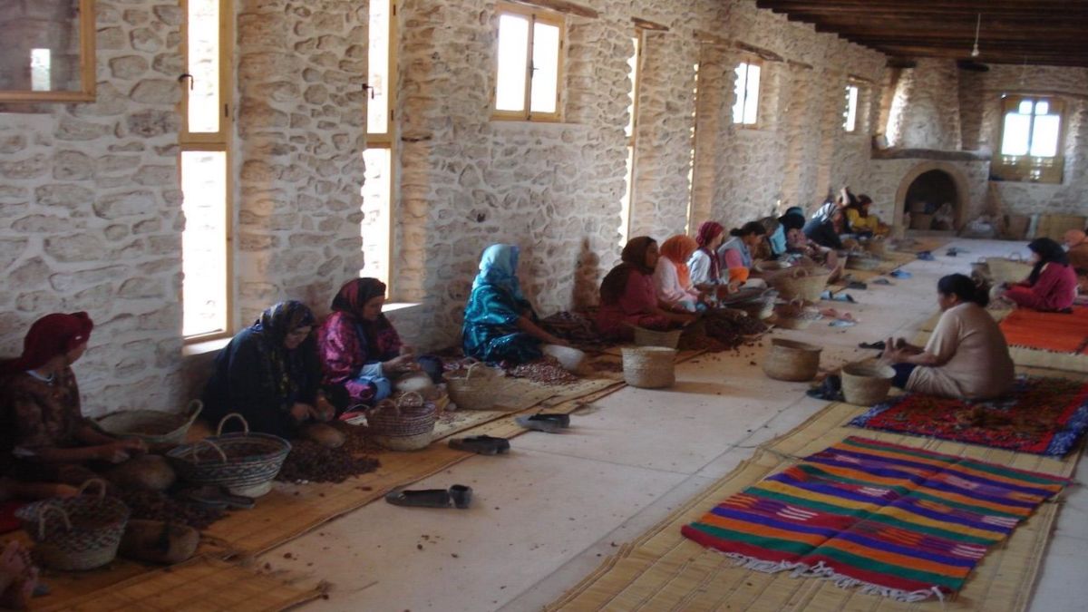 شجرة الأركان بالمغرب.. مميزات إيكولوجية ومورد مالي للنساء 2 شجرة الأركان بالمغرب.. مميزات إيكولوجية ومورد مالي للنساء