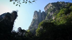 المصعد الشاهق في الهواء الطلق يرفع السياح فوق منحدر "أفاتار" في الصين 5 المصعد الشاهق في الهواء الطلق يرفع السياح فوق منحدر "أفاتار" في الصين