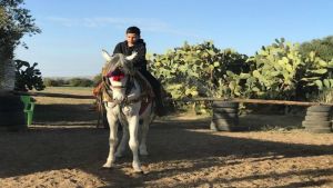 لحمايتهم من التطرف، مدرسة في "شواط" تعلم الأطفال فنون الفروسية