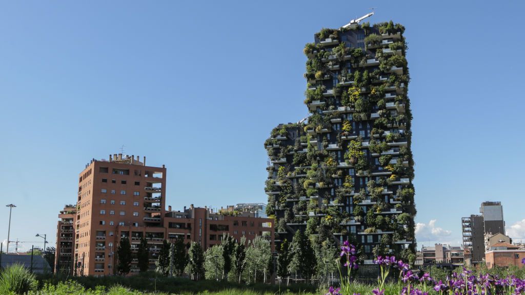 مشهدٌ رائع من إيطاليا.. غابة خضراء تمتدّ على طول برجين (صور)