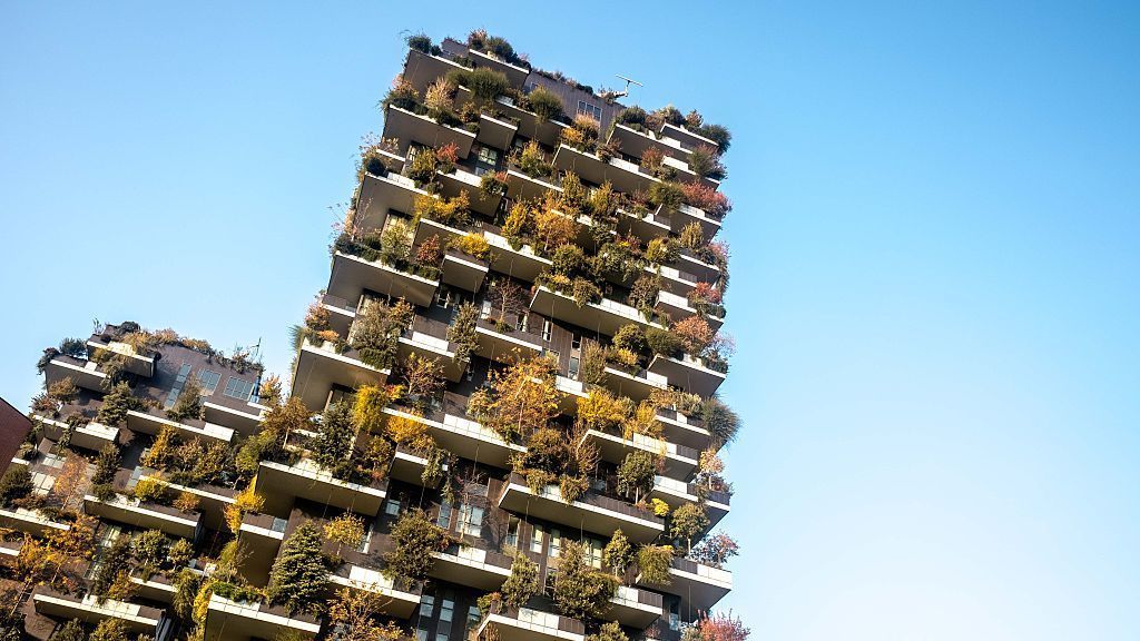 مشهدٌ رائع من إيطاليا.. غابة خضراء تمتدّ على طول برجين (صور)