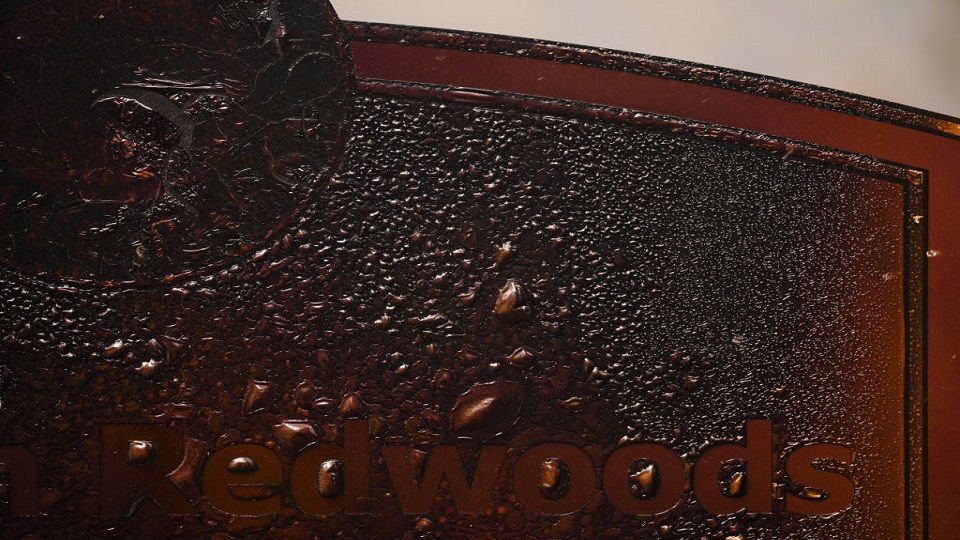 تواجه حديقة ”Big Basin Redwoods“ في كاليفورنيا تحديًا جديدًا بسبب الحرائق والمناخ الدافئ