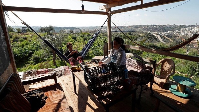 شبان فلسطينيون يديرون مزرعة مجتمعية بالضفة