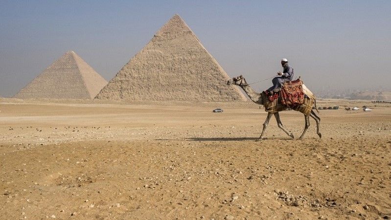 انطلاق سباقات الهجن في صحراء مصر 1 انطلاق سباقات الهجن في صحراء مصر