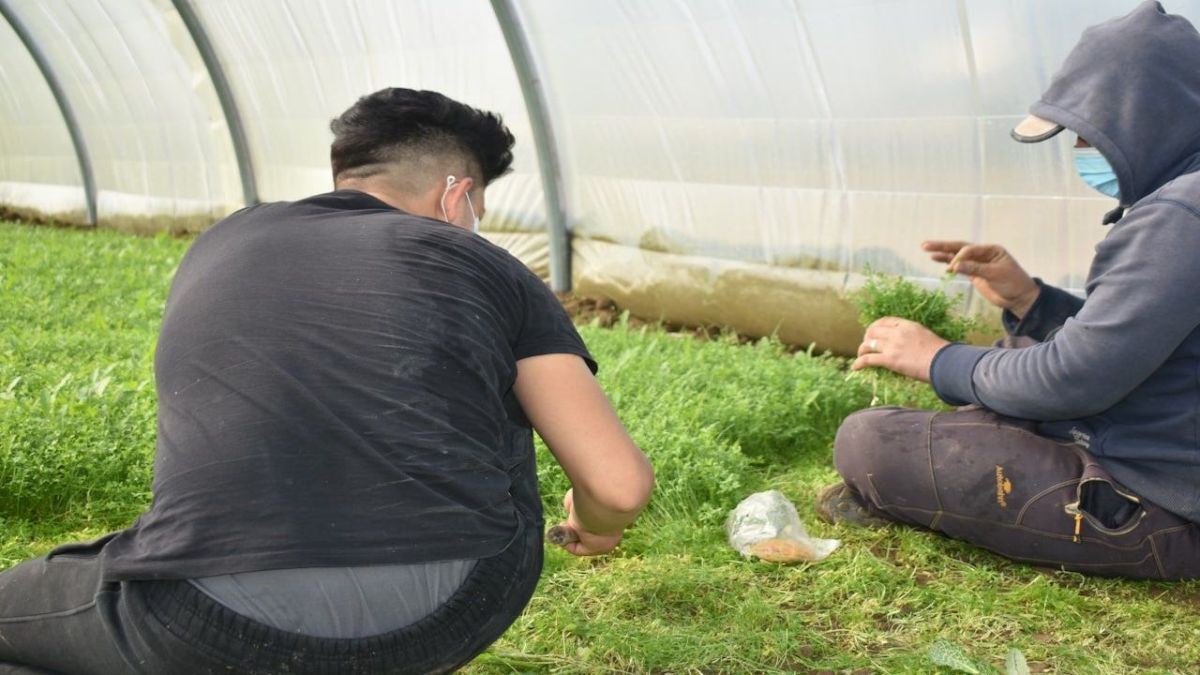 30 مزراعًا في الموصل يجنون محصول "نزرعها 4 فصول"