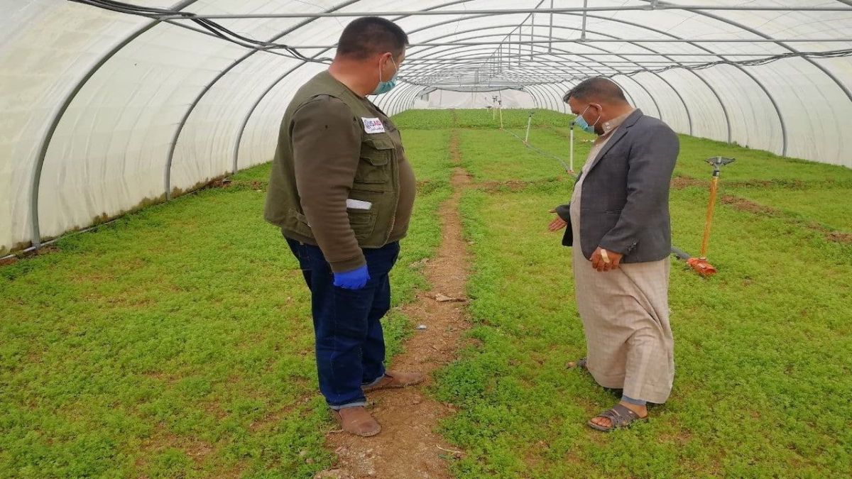 30 مزراعًا في الموصل يجنون محصول "نزرعها 4 فصول"