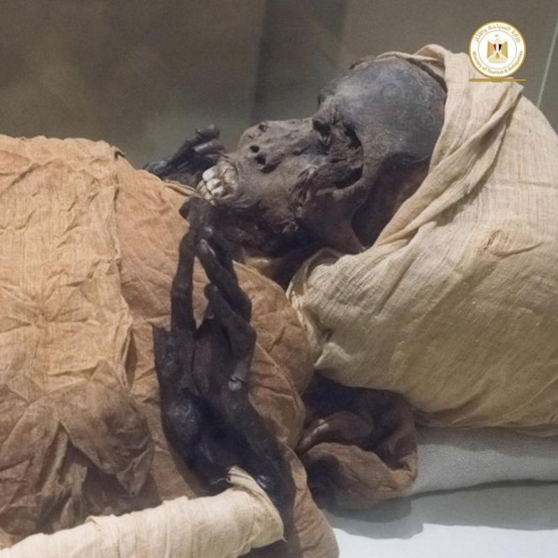 زاهي حواس يكشف ملابسات مقتل الملك الفرعوني سقنن رع على يد الهكسوس قبل نحو 3600 عام 1 سقنن رع