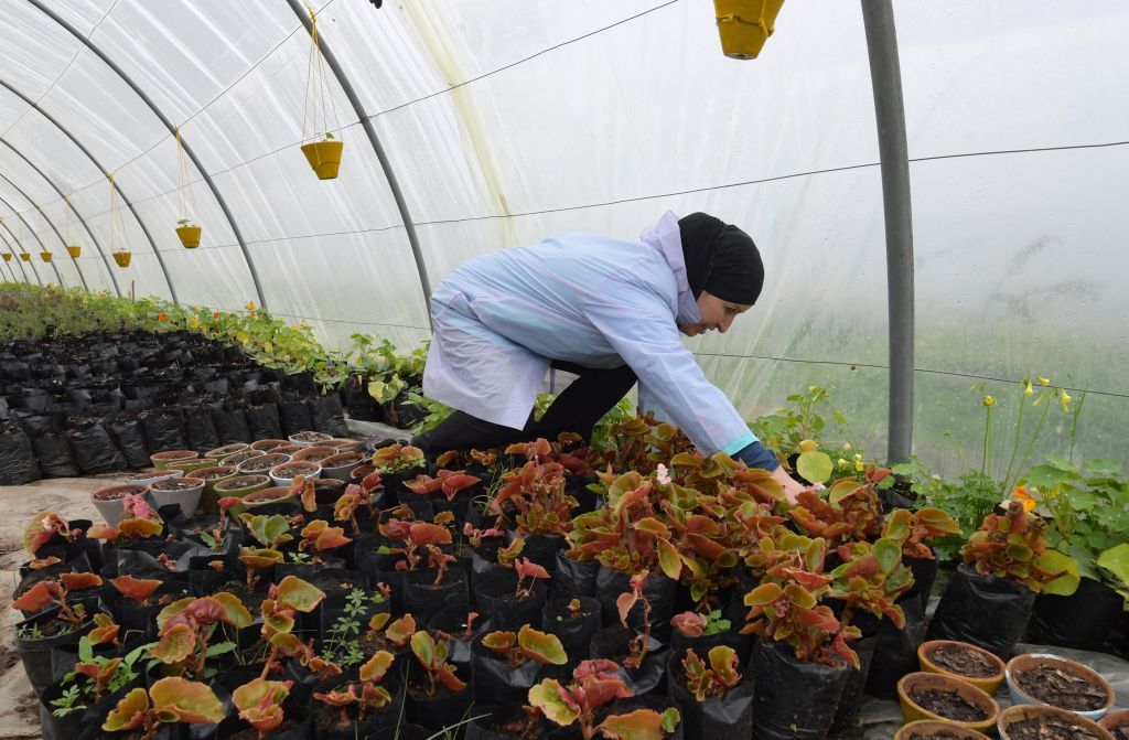 ثقافة طهي جديدة.. سوق زهور صالحة للأكل في تونس مع غراسة 12 نوعا منها