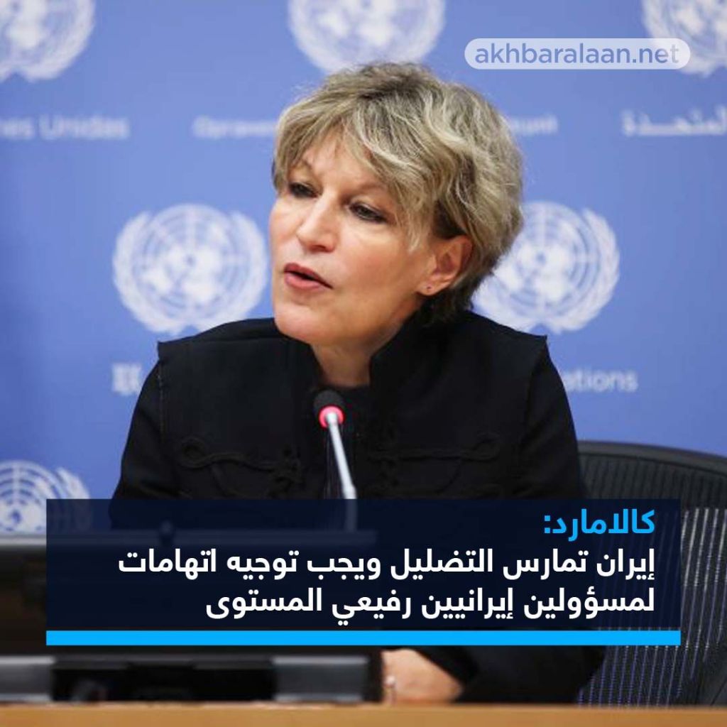 مقررة الأمم المتحدة تكشف لـ"أخبار الآن" تفاصيل سلوك إيران بقضية الطائرة الأوكرانية.. وتدعو لمحاسبة كبار المسؤولين