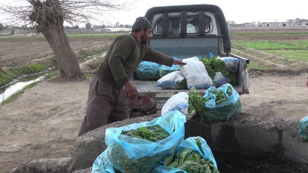 كارثة إنسانية بسبب انخفاض منسوب مياه نهر الفرات