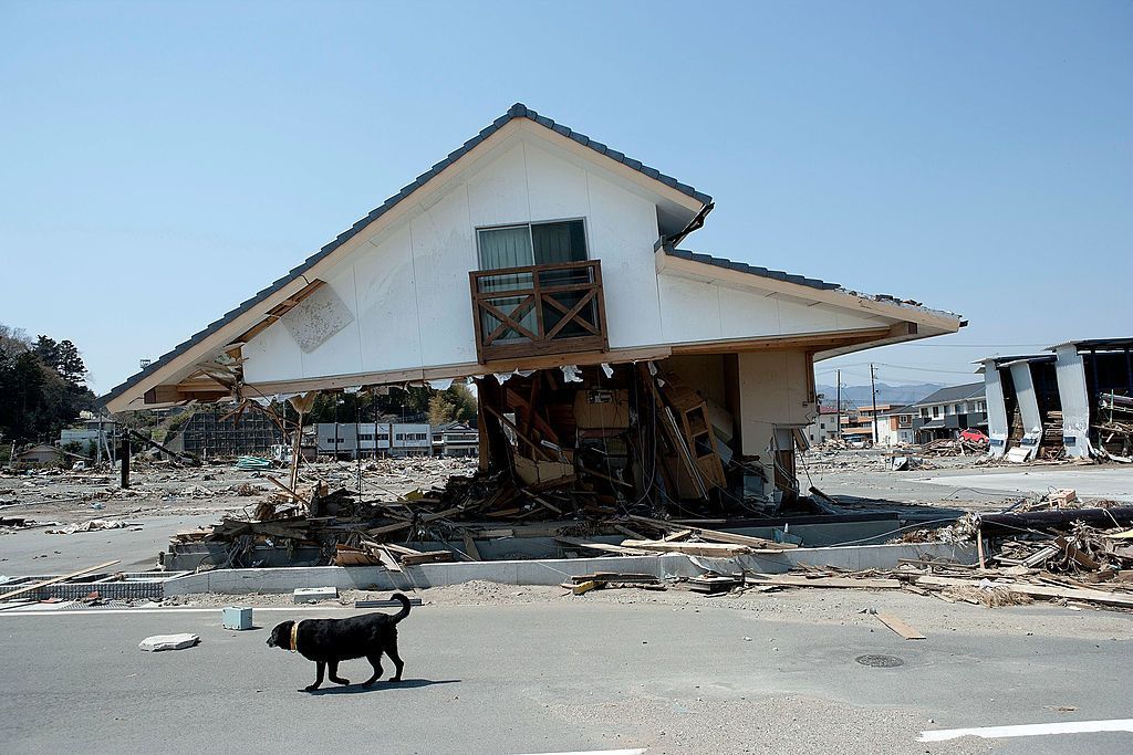 من فوكوشيما.. منطقة محظورة تشهدُ على كارثة الزلزال قبل 10 سنوات
