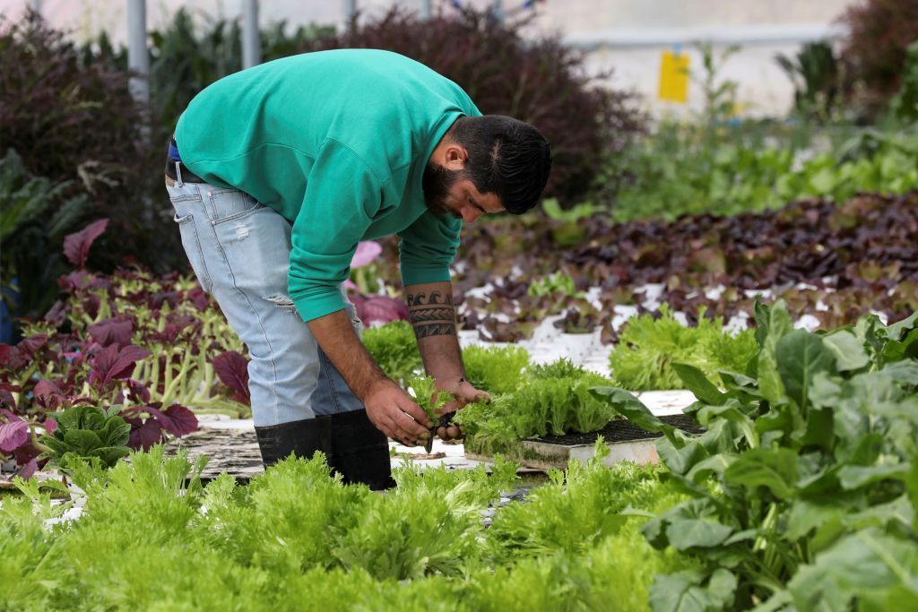 رواد أعمال يطلقون مبادرة "من المزرعة إلى المائدة" بفلسطين