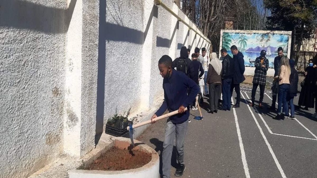 متطوعون يغرسون الأشجار حول ثانوية في بلدية بلوزداد بالجزائر
