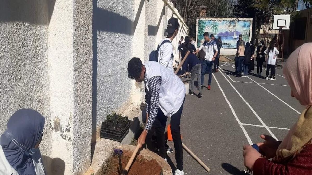 شاب يزرع شتلة شجر