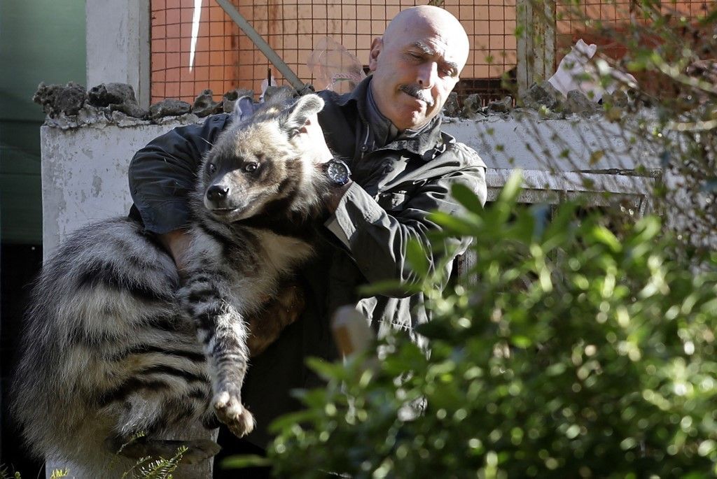 لبنان.. مركز لإعادة تأهيل الحيوانات البرية المصابة