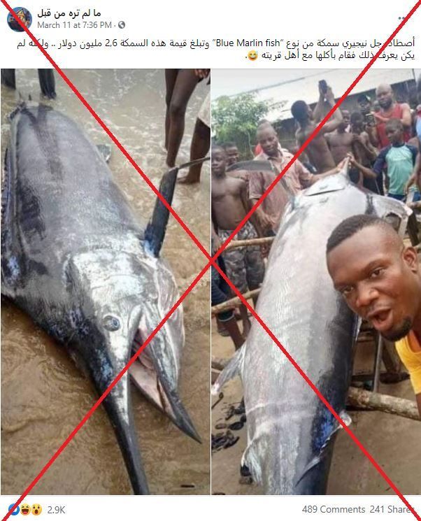 ما حقيقة السمكة الضخمة في نيجيريا بقيمة 2,6 مليون دولار؟ 1 ما حقيقة السمكة الضخمة في نيجيريا بقيمة 2,6 مليون دولار؟