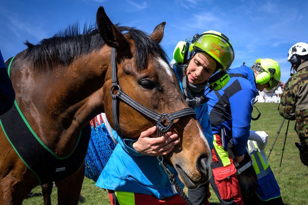 الجيش السويسري يختبر طريقة لإجلاء الخيول خلال الأزمات