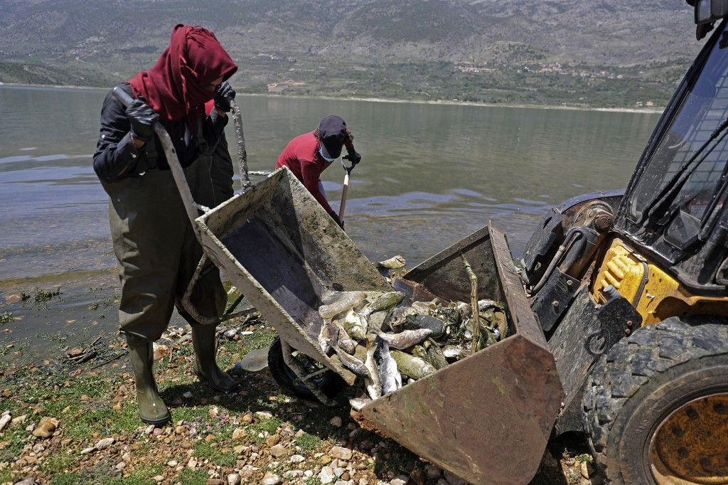 نفوق أطنان من الأسماك في لبنان 2 نفوق أطنان من الأسماك في لبنان